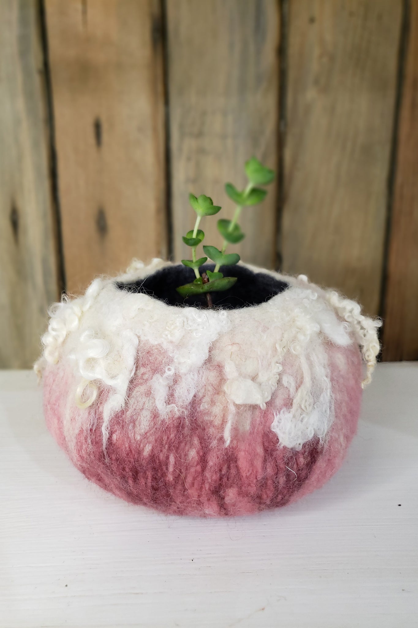 Lovely succulent, cactus plant pot in rose color. Fluffy wool decor, jewelry box made of merino wool by hand.